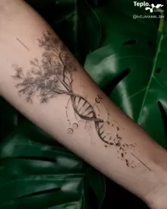 Фотография Teplo Tattoo 1